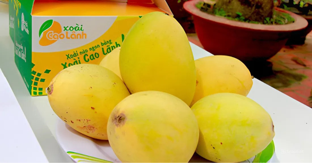 Lô xoài đầu tiên xuất khẩu sang Mỹ