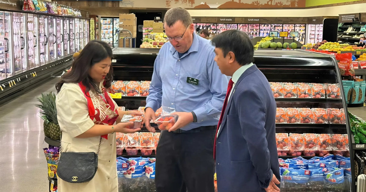 Vải thiều trên kệ của hệ thống siêu thị bán lẻ lớn như Safeway và Costco tại Mỹ