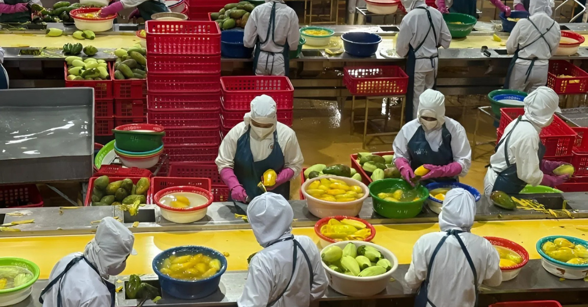 Công nhân đang chế biến các mặt hàng nông sản