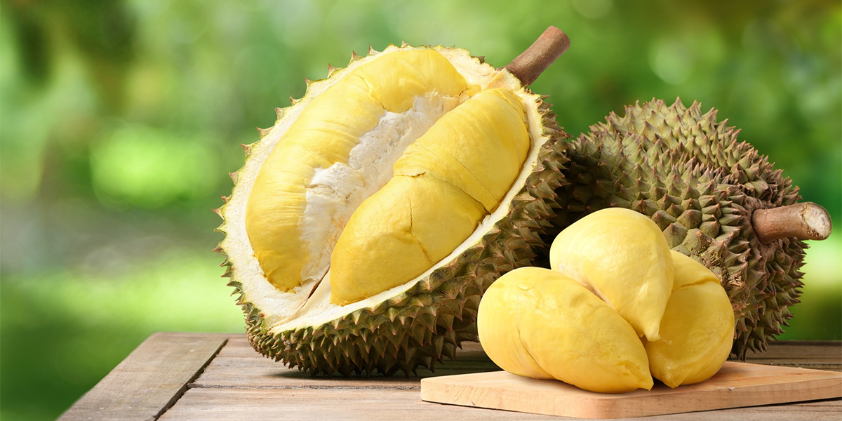 Sầu riêng Việt Nam chất lượng cao