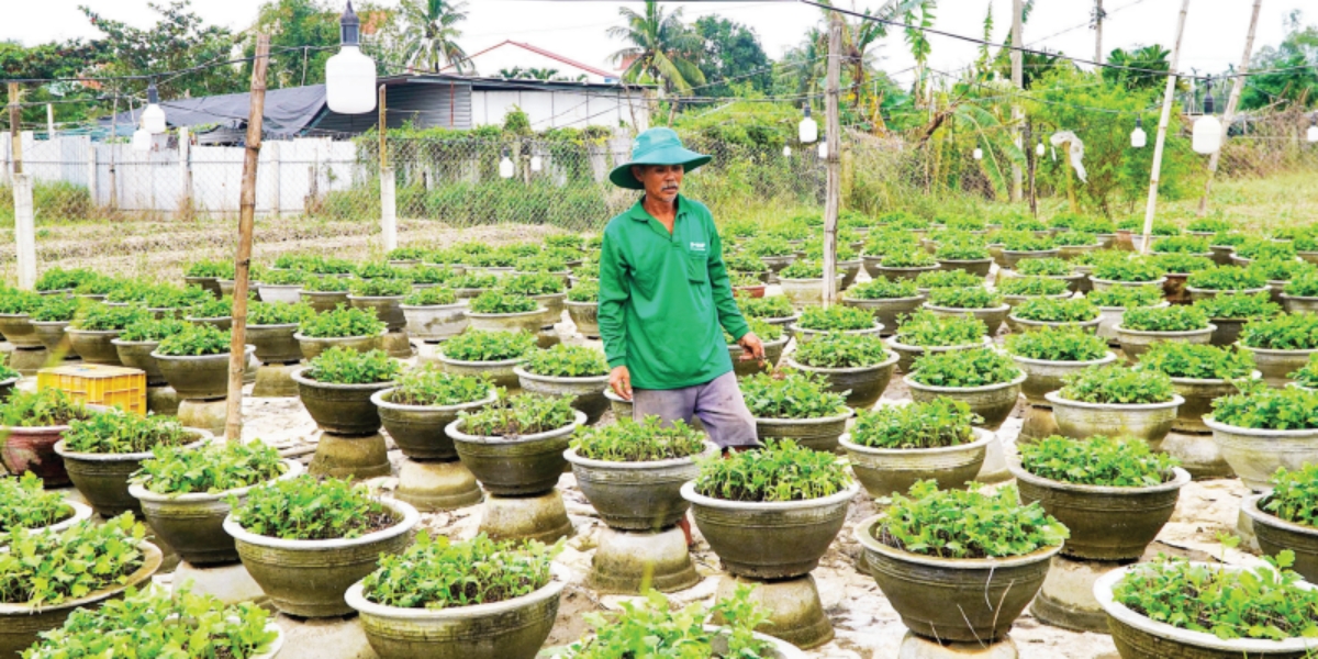 Ong Nguyen Duc Khanh