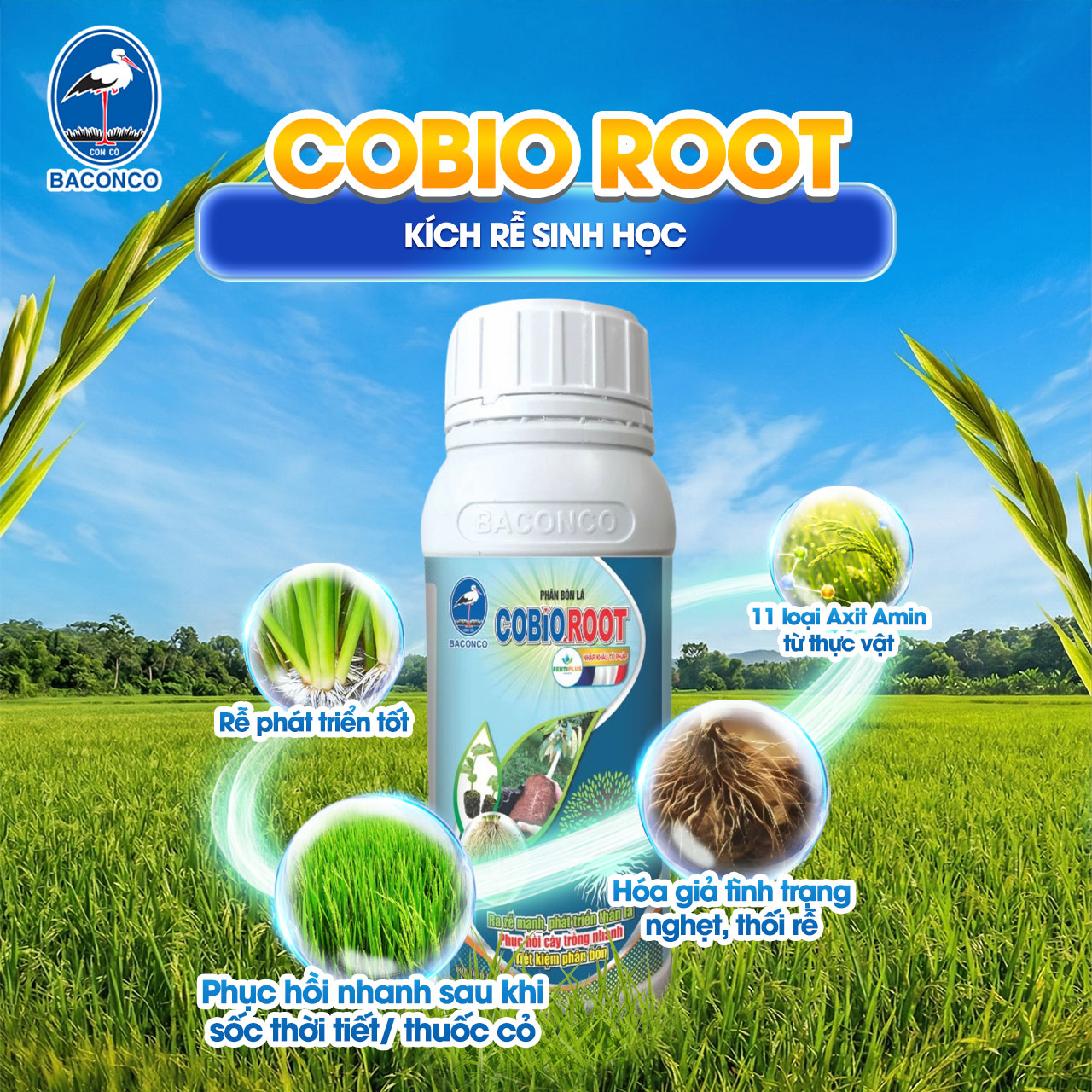 COBIO ROOT Kích rễ sinh học và giải độc hữu cơ