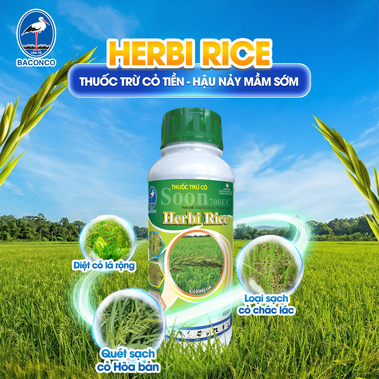 HERBI RICE Quản lý cỏ dại tiền và hậu nảy mầm sớm